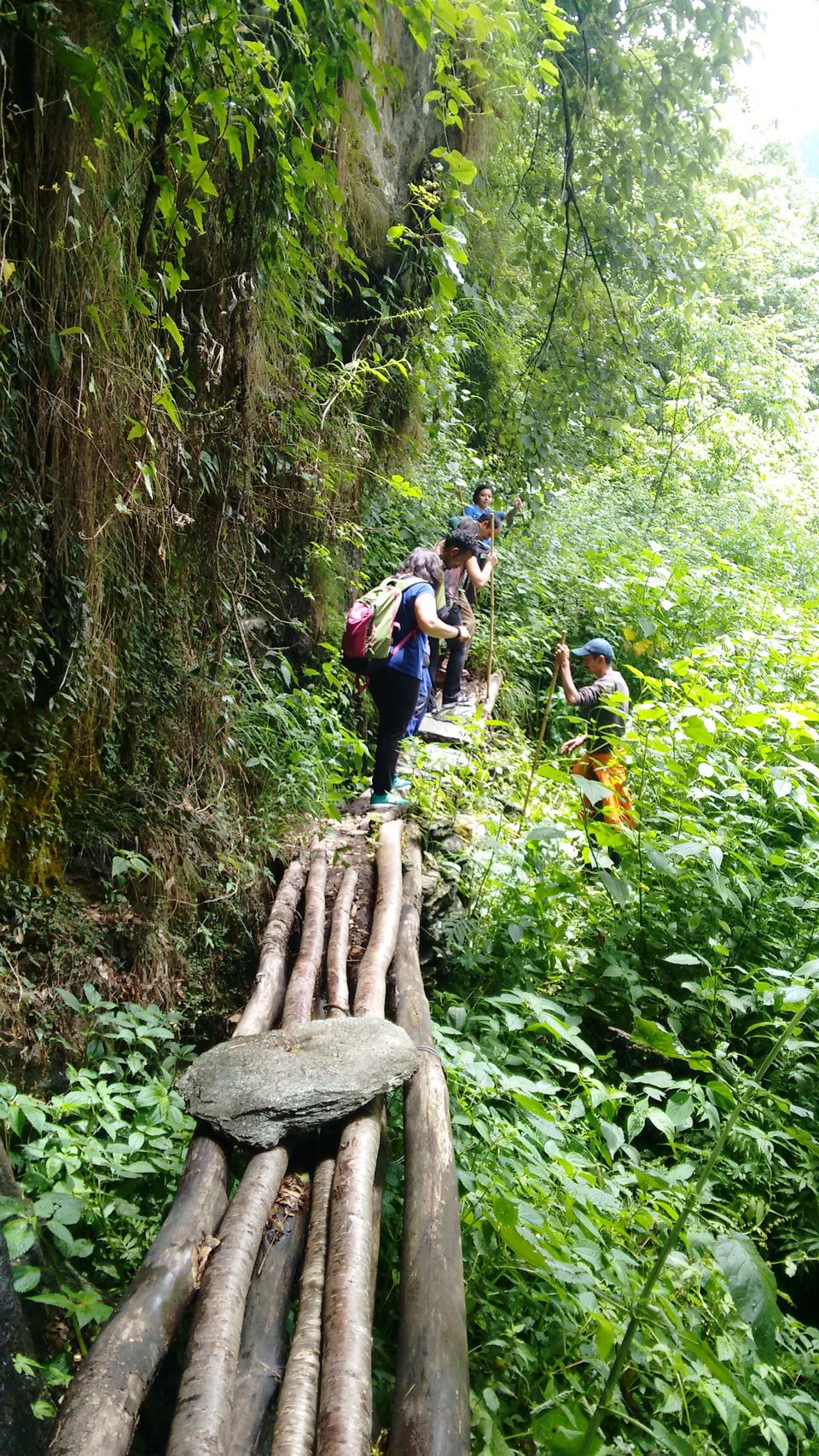 Photo of Daredevils, explorers, soul searchers: Tirthan Valley holds special treats for all by Himani Chandorkar