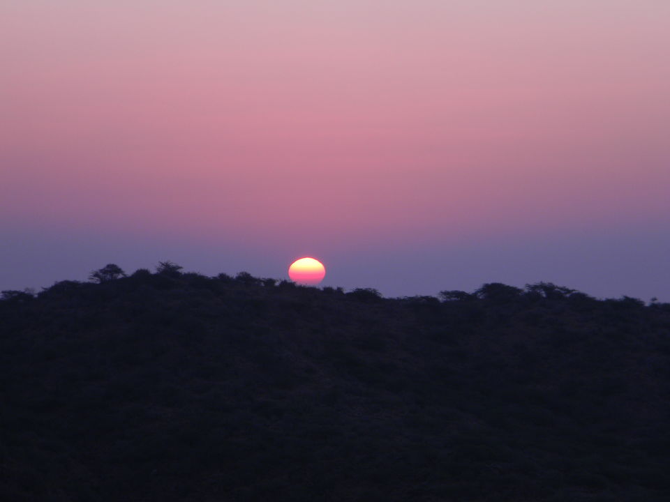Photo of Kutch, Gujarat, India by Himani Chandorkar