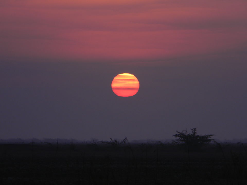 Photo of Dating Kutch & Gir - The Topsy Turvy Way by Himani Chandorkar