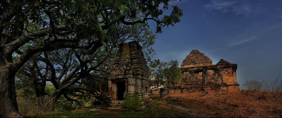 Photo of Temple & Tiger Trails(5 Nights / 6 Days) 1/1 by Pugdundee Safaris