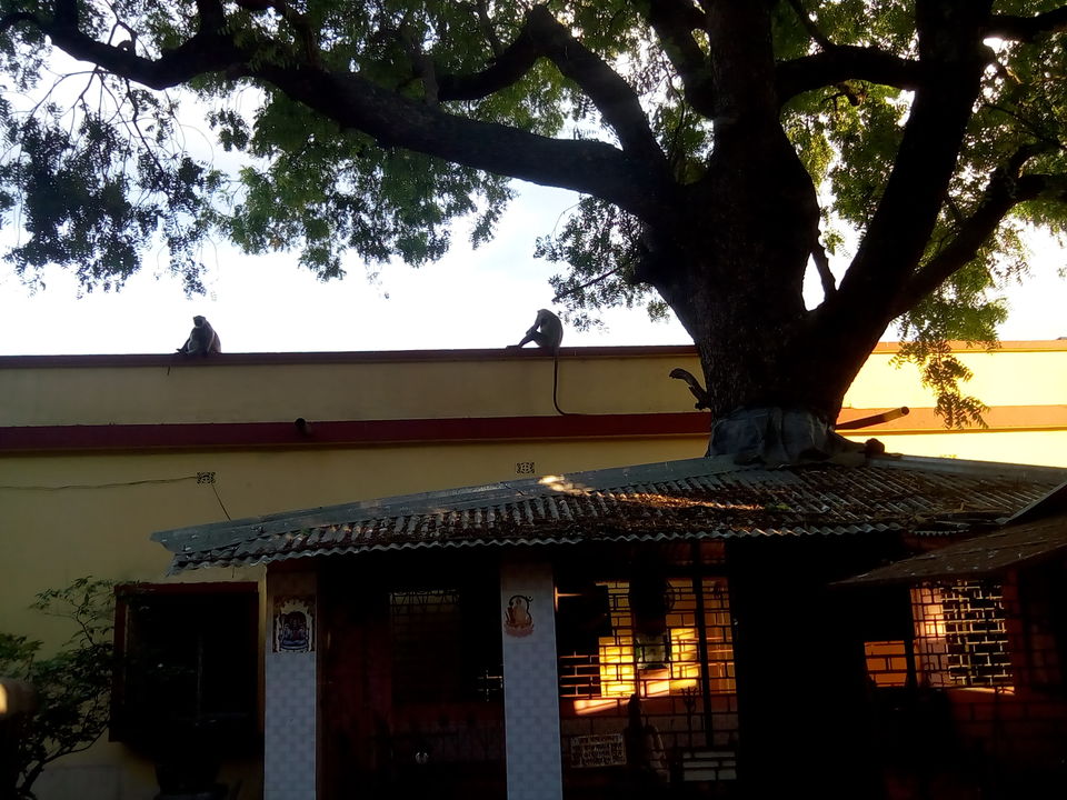 Photo of Shanti-niketan.. 1/11 by Subhodip Banerjee
