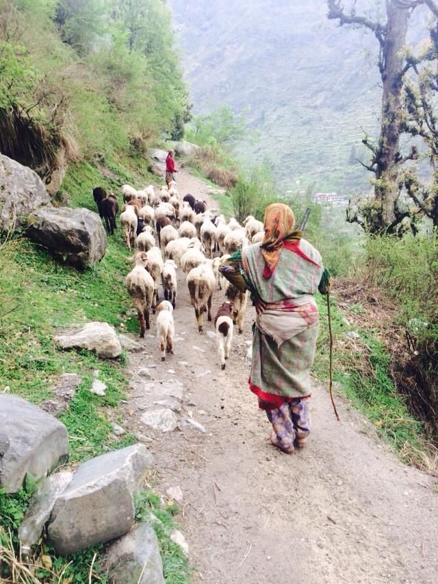 Photo of How To Backpack Across ‘Parvati Valley’ for 10 Days In Just Rs. 10,000 by Raghav Gupta