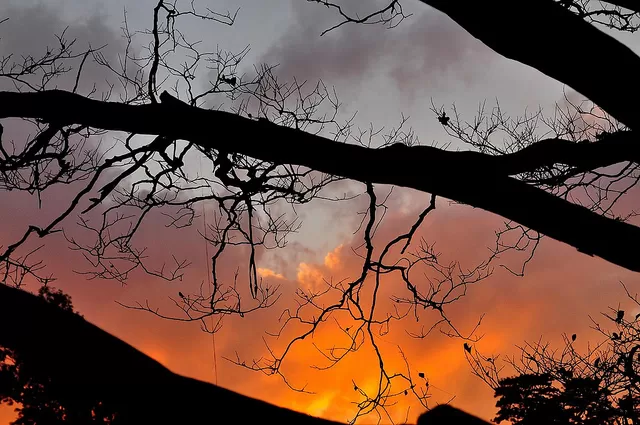 Photo of Shillong, Shillong, Meghalaya, India by Monalisa Deka