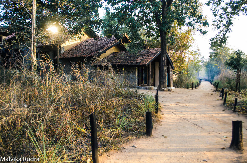 Photo of Kanha Calling - A Guide to Kanha National Park 2/3 by Malvika Rudra