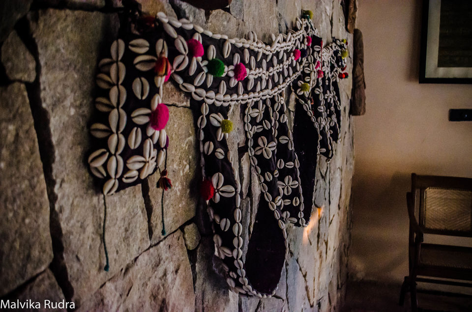 Photo of From the Diaries of Jungle Traveler – With Pugdundee Safaris 14/19 by Malvika Rudra