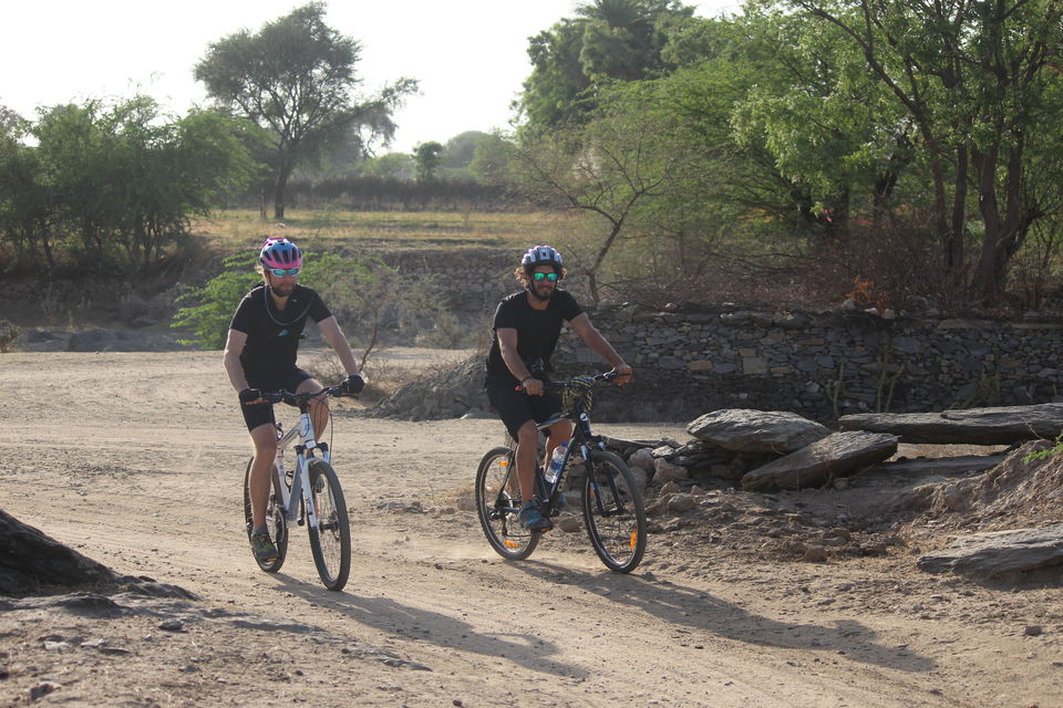 Photo of Cycling Holiday In Rajasthan 15/24 by Dushyant Singh Jhala