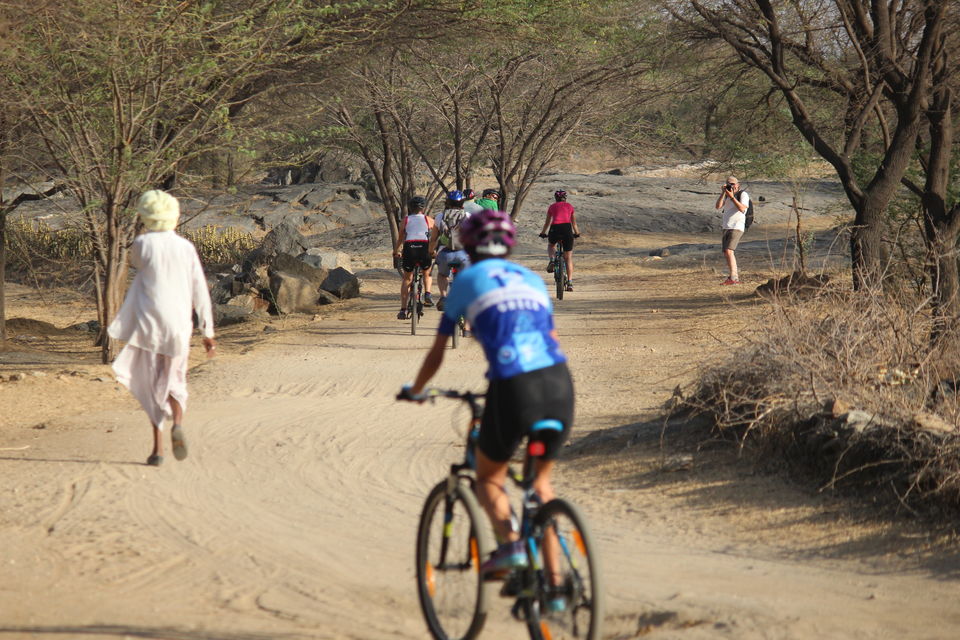 Photo of Cycling Holiday In Rajasthan 16/24 by Dushyant Singh Jhala