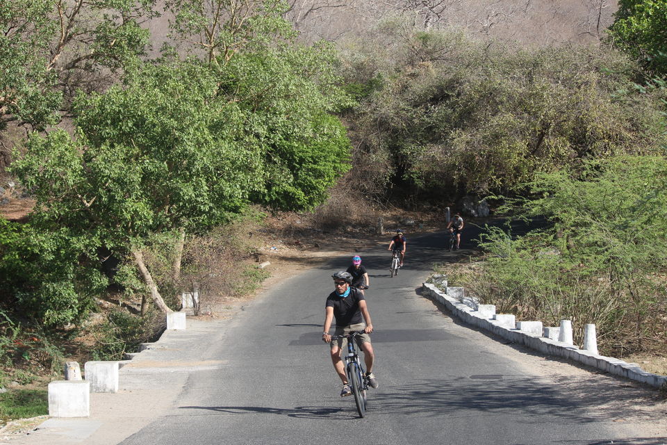 Photo of Cycling Holiday In Rajasthan 21/24 by Dushyant Singh Jhala