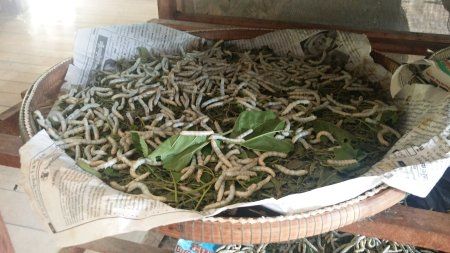 Photo of Cambodia – Temples, Tuktuks and Hammock Land! 26/34 by Neha Shah
