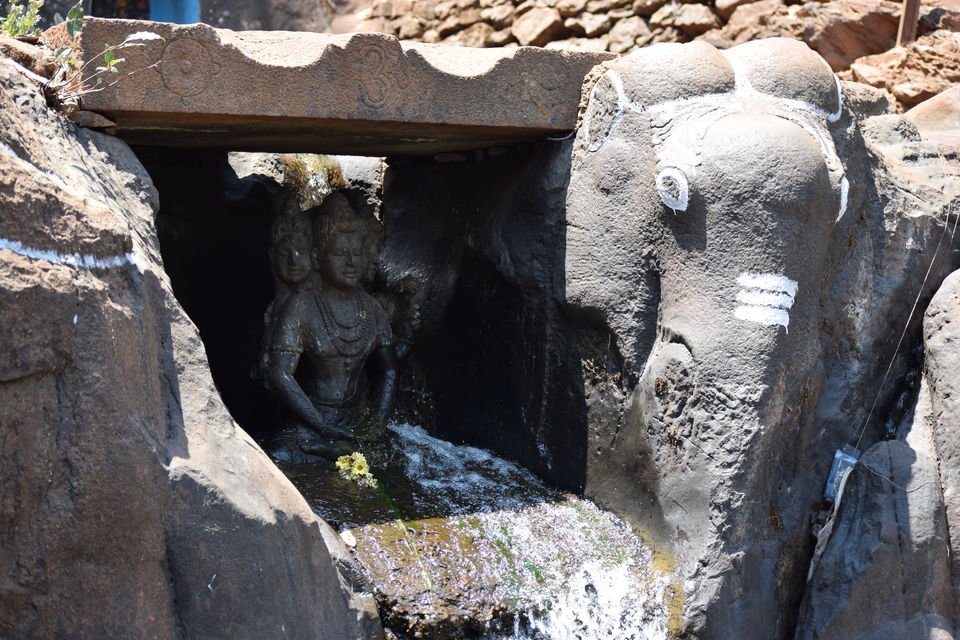 Photo of Ride to Chikmagalur - Part2 2/21 by Vijay Kishore Reddy R