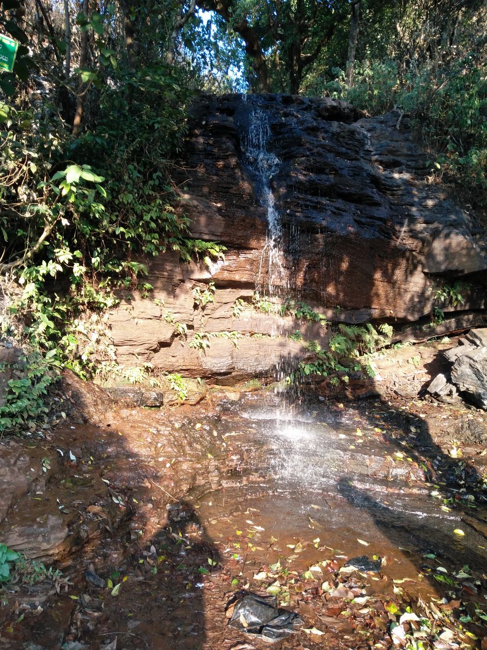Photo of Ride to Chikmagalur - Part2 9/21 by Vijay Kishore Reddy R