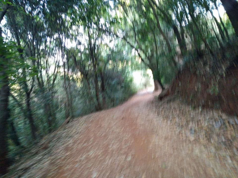 Photo of Ride to Chikmagalur - Part2 12/21 by Vijay Kishore Reddy R