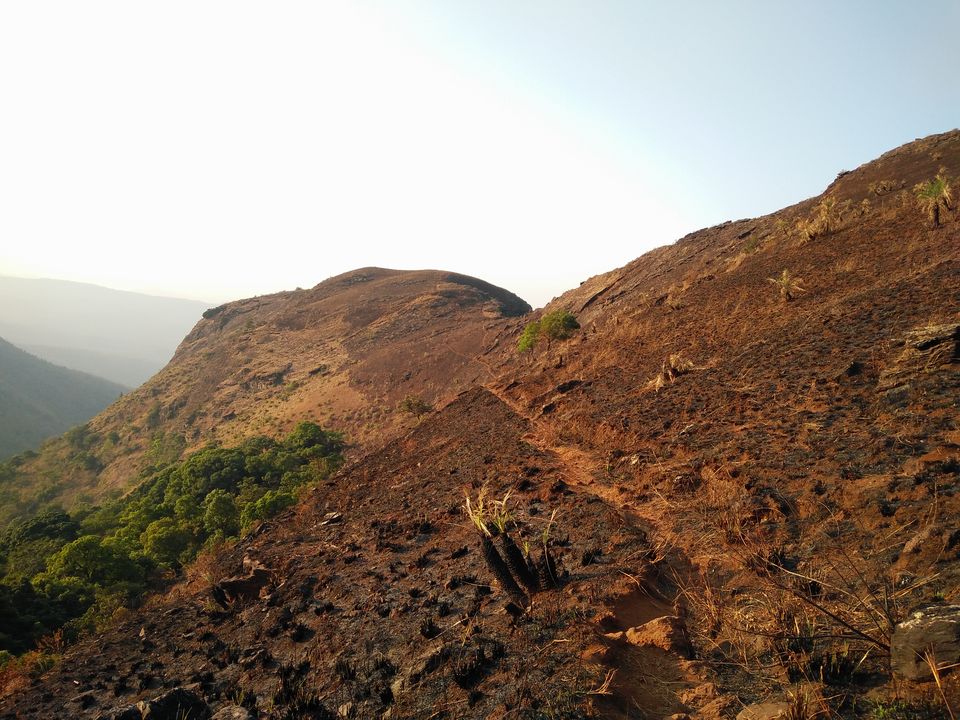 Photo of Ride to Chikmagalur - Part2 13/21 by Vijay Kishore Reddy R