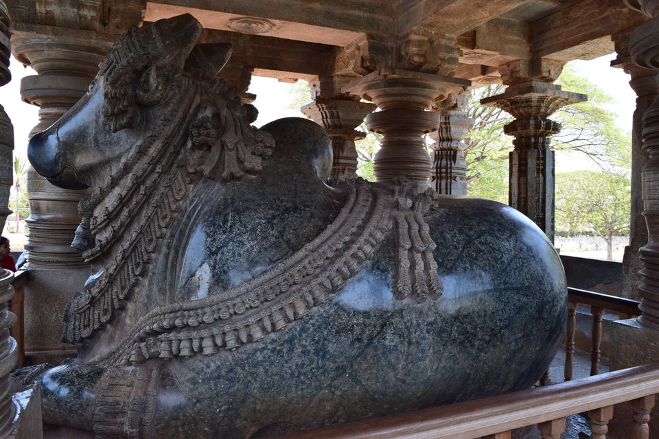 Photo of Ride to Chikmagalur - Part2 20/21 by Vijay Kishore Reddy R