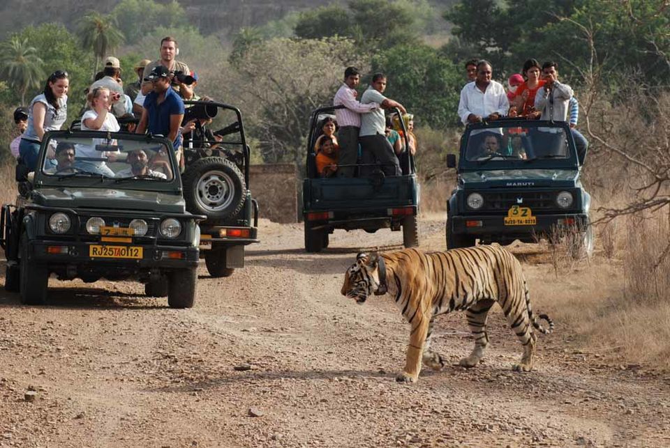 Photo of Embark a Fairytale Journey on the Palace on Wheels 5/11 by Annika Wilson
