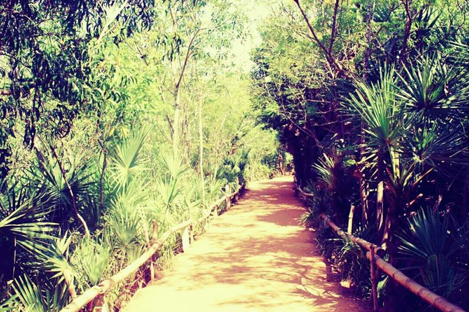 Photo of Auroville, Tamil Nadu, India by @diti $rivastava