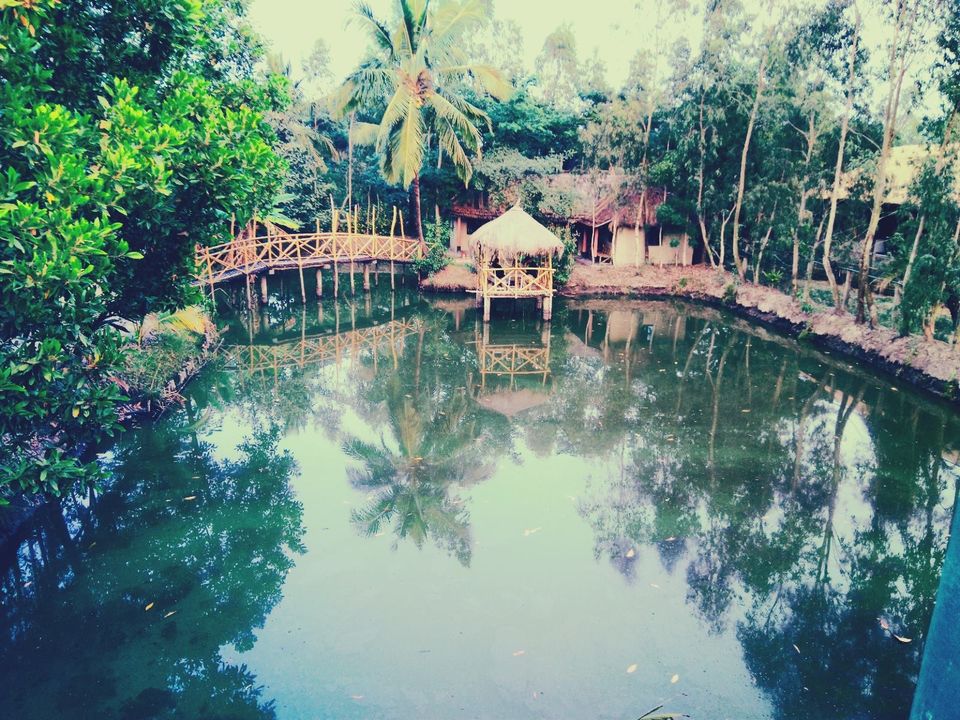 Photo of Backpackers eco village, Sundarbans, Satjelia, West Bengal, India by @diti $rivastava