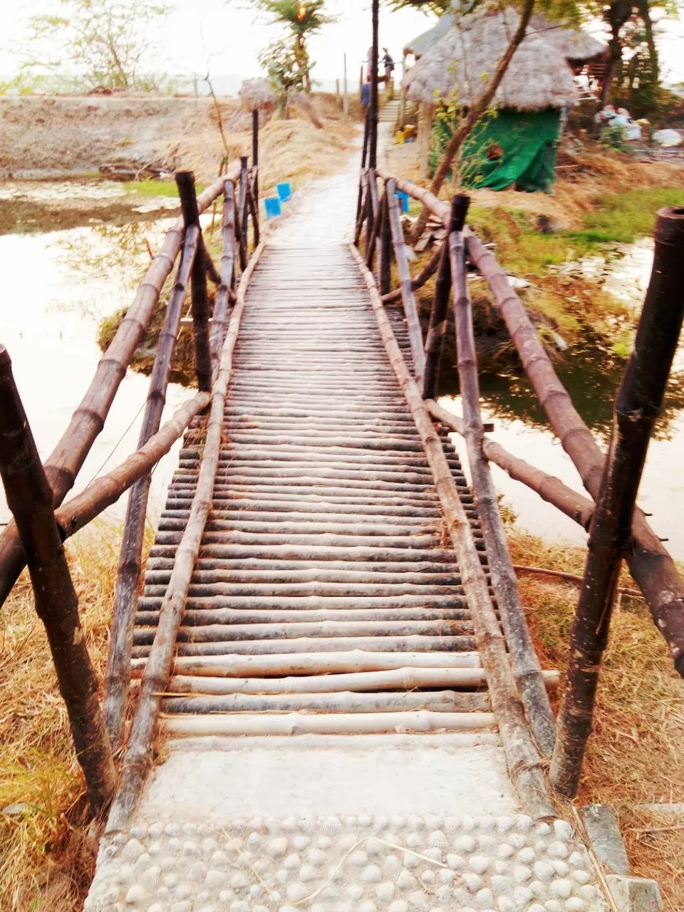 Photo of Backpackers eco village, Sundarbans, Satjelia, West Bengal, India by @diti $rivastava
