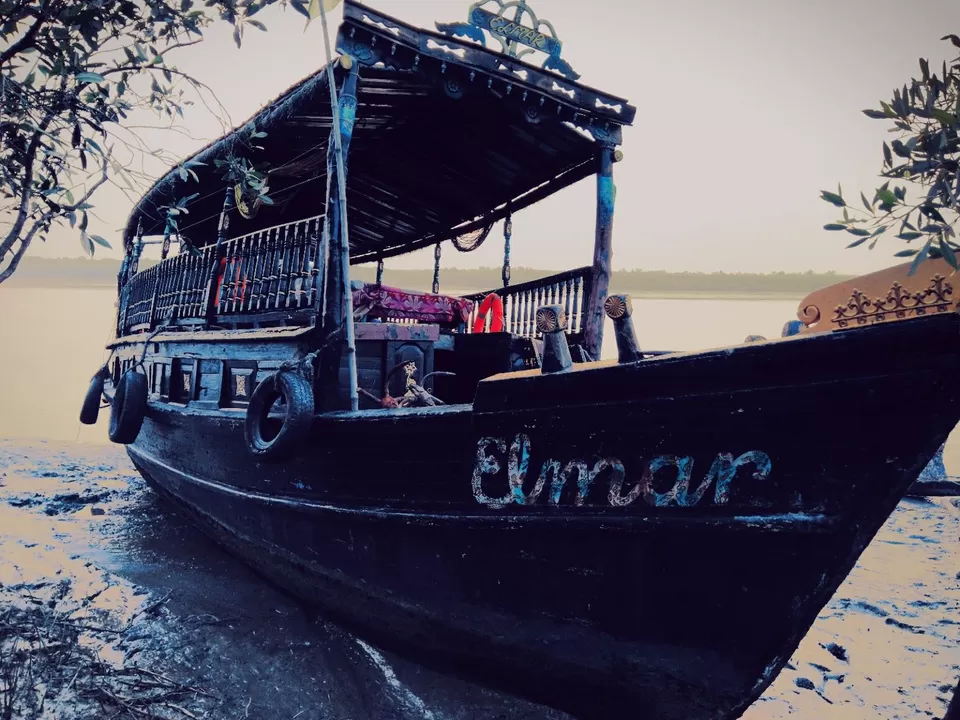 Photo of Sundarban Forest, kolkata, West Bengal, India by @diti $rivastava