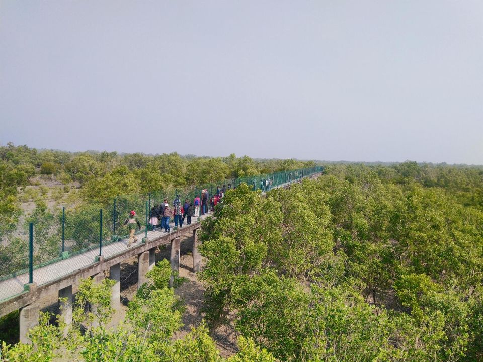 Photo of Sundarban "World's largest Mangrove tree forest and home of our national animal Tiger" by @diti $rivastava