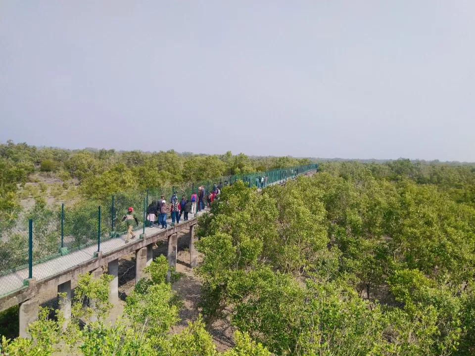 Photo of Sundarban "World's largest Mangrove tree forest and home of our national animal Tiger" by @diti $rivastava