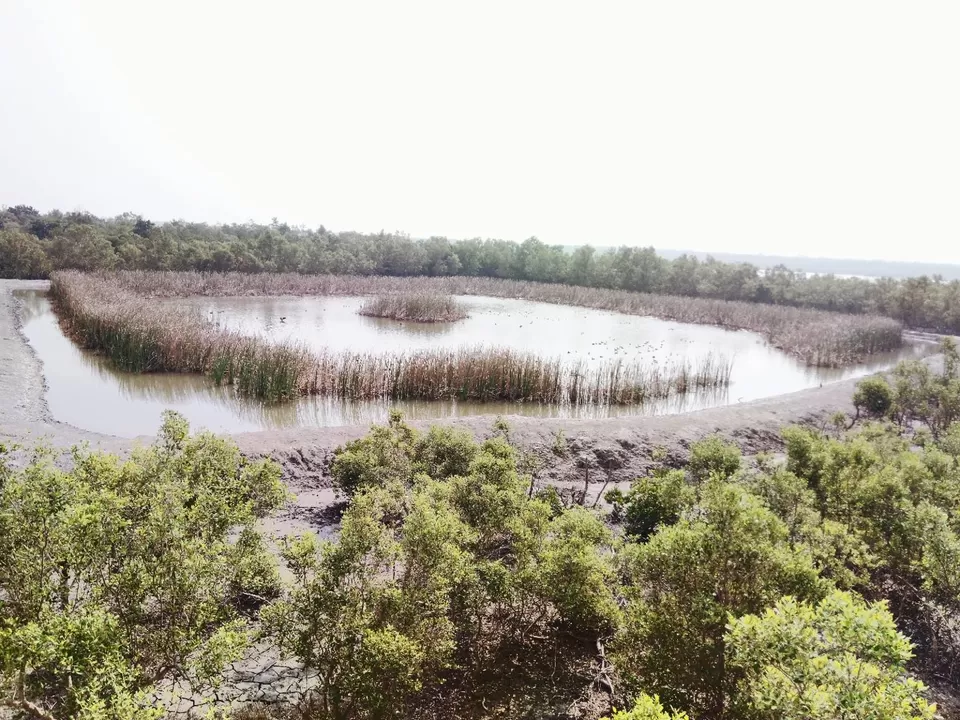 Photo of Sudhanyakhali Watch Tower, West Bengal, India by @diti $rivastava