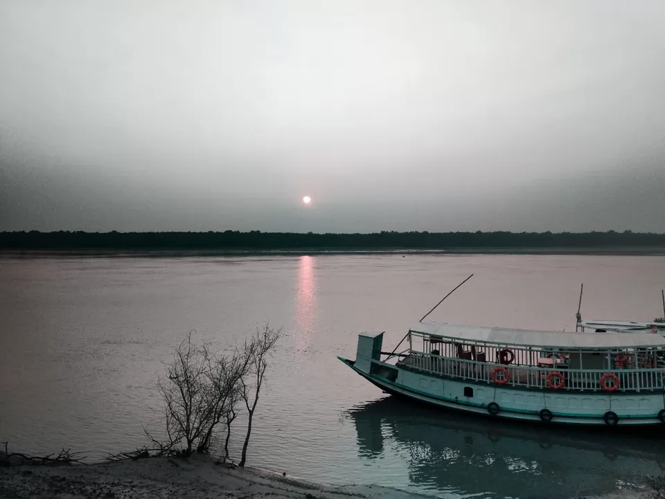 Photo of Sundarban "World's largest Mangrove tree forest and home of our national animal Tiger" by @diti $rivastava