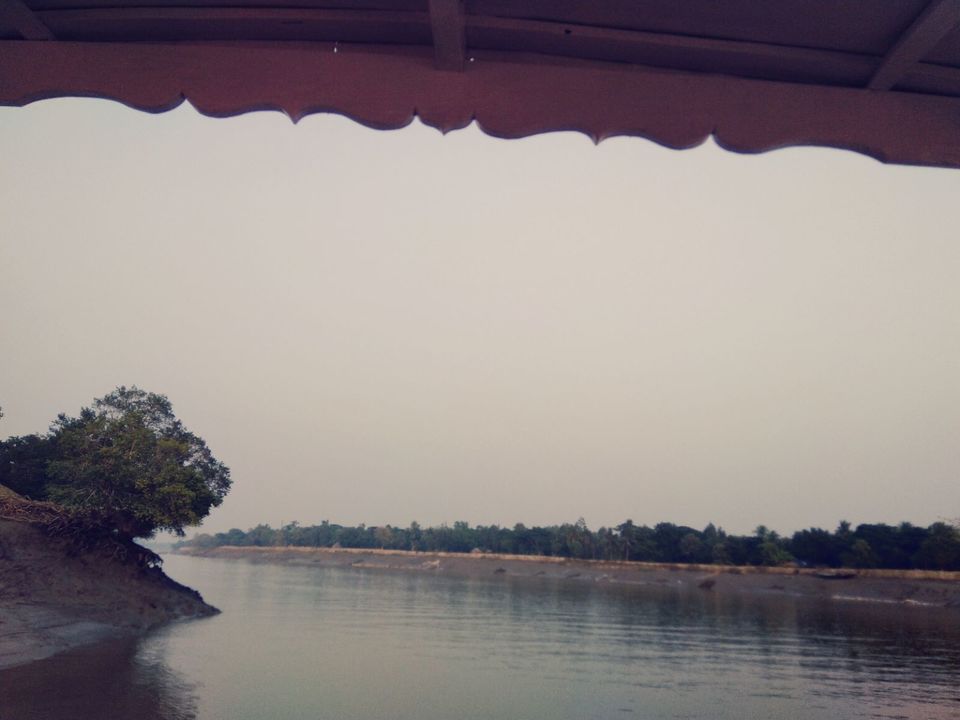 Photo of Sundarban "World's largest Mangrove tree forest and home of our national animal Tiger" by @diti $rivastava