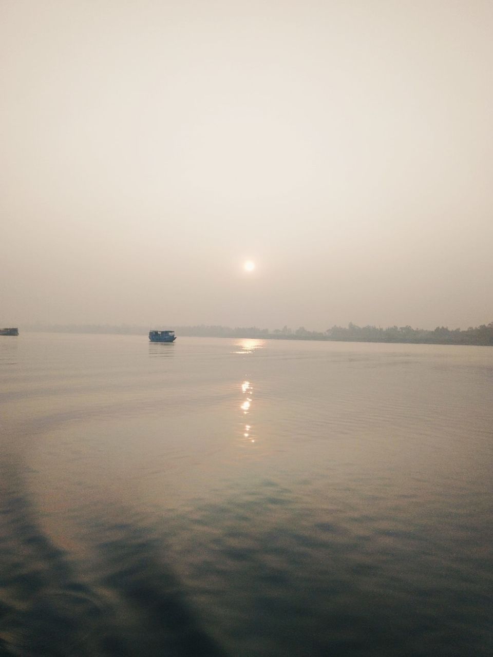 Photo of Sundarban Forest, kolkata, West Bengal, India by @diti $rivastava
