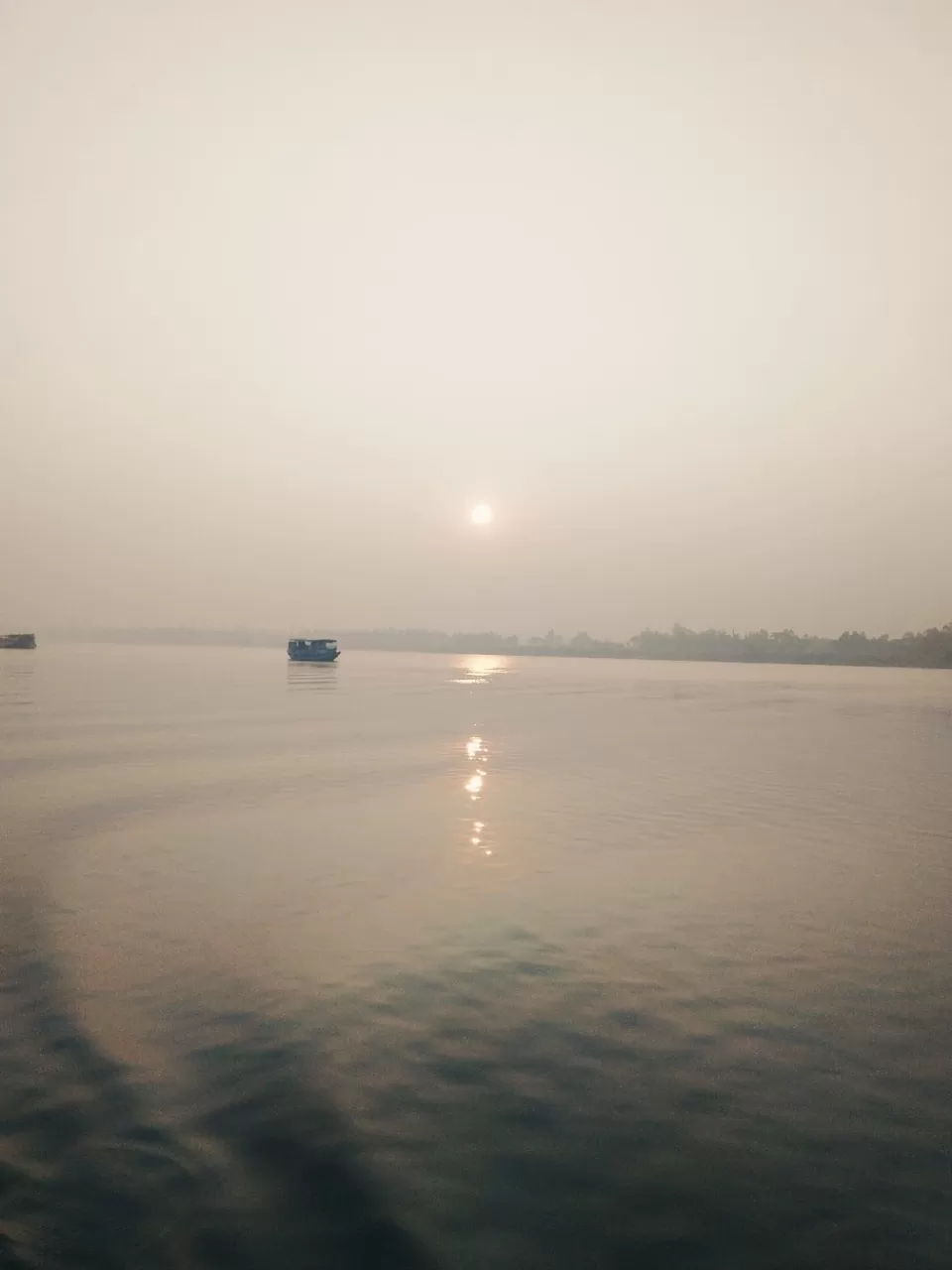 Photo of Sundarban Forest, kolkata, West Bengal, India by @diti $rivastava