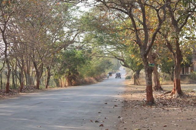 Photo of Silvassa 1/10 by mansioza
