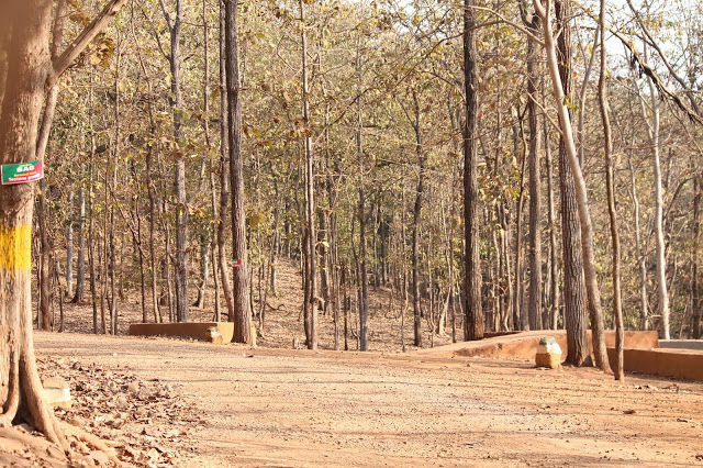 Photo of Silvassa 6/10 by mansioza