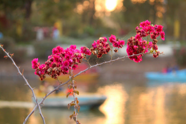 Photo of Silvassa 7/10 by mansioza