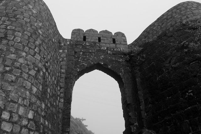 Photo of Trekking at Sinhgad Fort, Pune 1/19 by mansioza