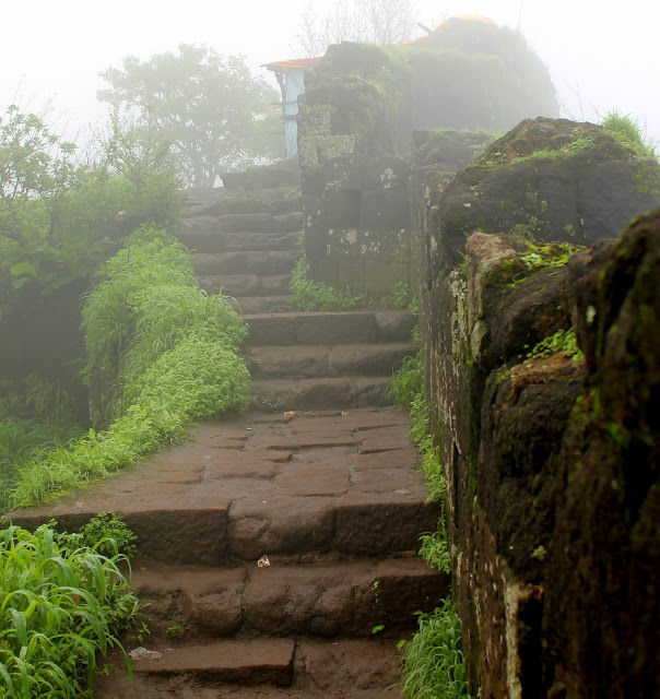 Photo of Trekking at Sinhgad Fort, Pune 4/19 by mansioza