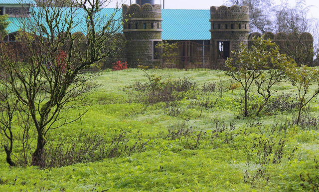 Photo of Trekking at Sinhgad Fort, Pune 16/19 by mansioza