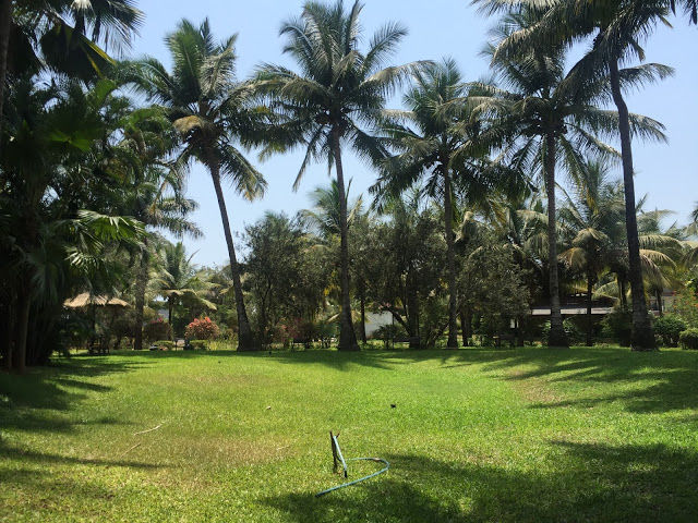 Photo of U Tropicana Alibaug 3/27 by mansioza