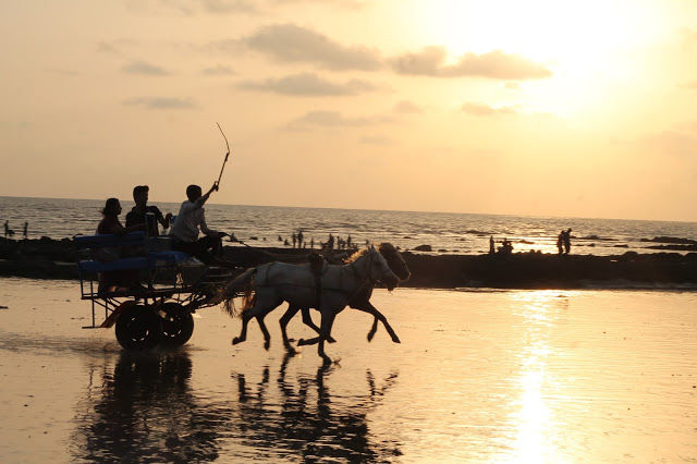 Photo of U Tropicana Alibaug 21/27 by mansioza
