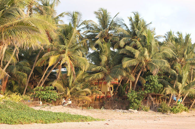 Photo of U Tropicana Alibaug 22/27 by mansioza