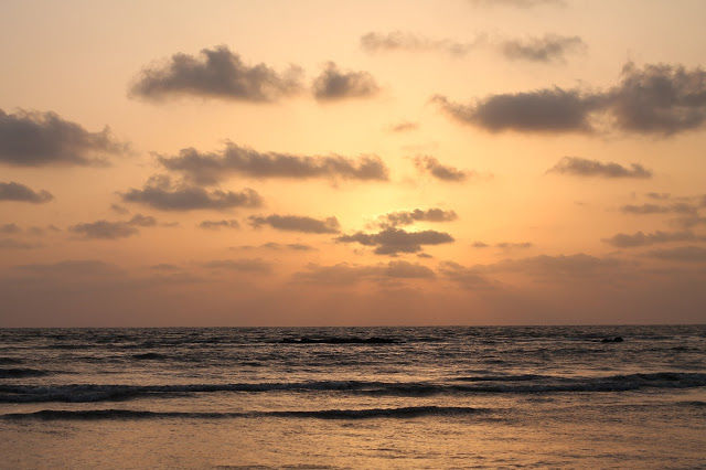 Photo of U Tropicana Alibaug 24/27 by mansioza