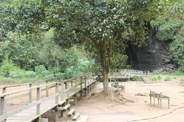 Photo of Kinabatangan River Cruise, Sandakan 2/14 by mansioza