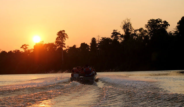 Photo of Kinabatangan River Cruise, Sandakan 7/14 by mansioza