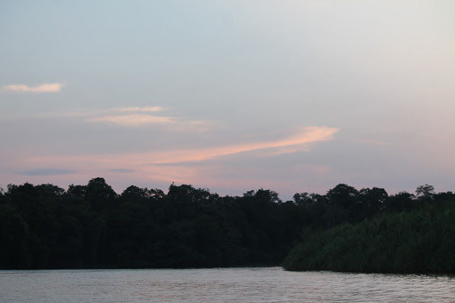 Photo of Kinabatangan River Cruise, Sandakan 10/14 by mansioza