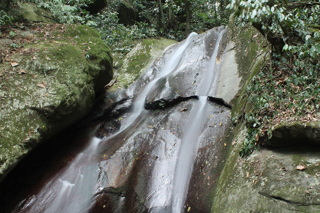Photo of Mt. Kinabalu Park and Poring Hot Spring, Ranau 5/10 by mansioza