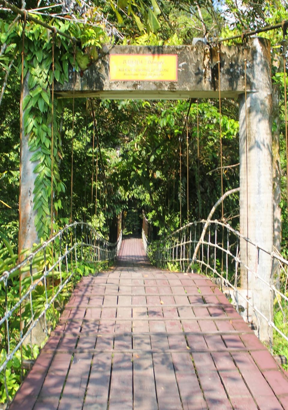 Photo of Gunung Mulu National Park 1/14 by mansioza