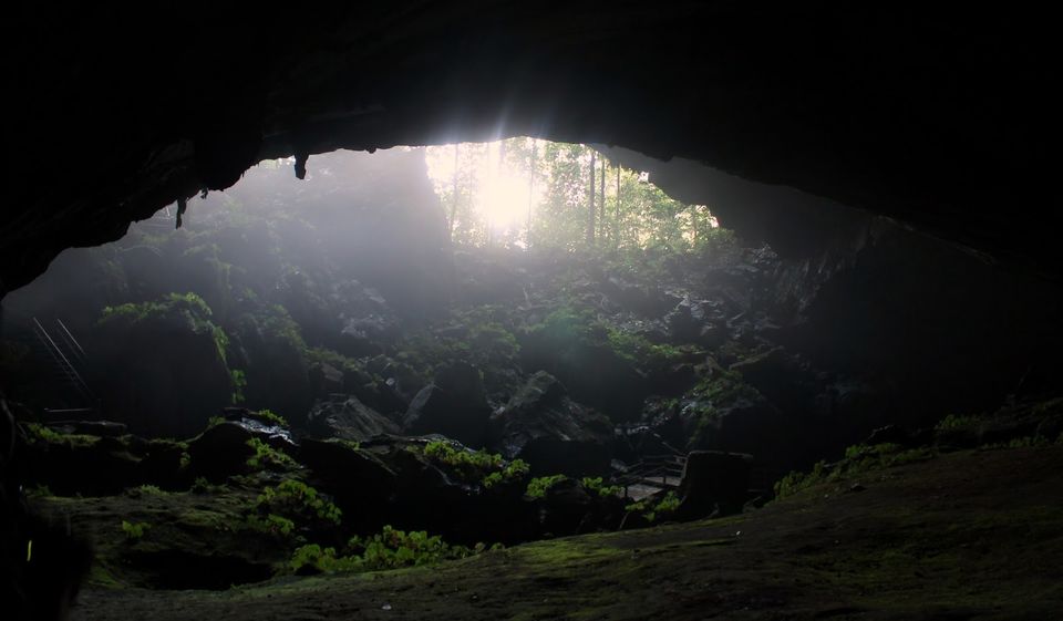 Photo of Gunung Mulu National Park 3/14 by mansioza