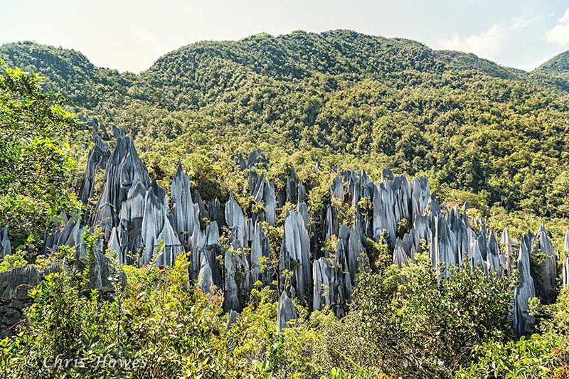 Photo of Gunung Mulu National Park 8/14 by mansioza