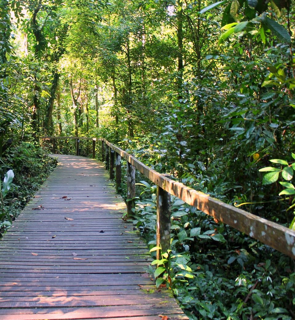 Photo of Gunung Mulu National Park 9/14 by mansioza