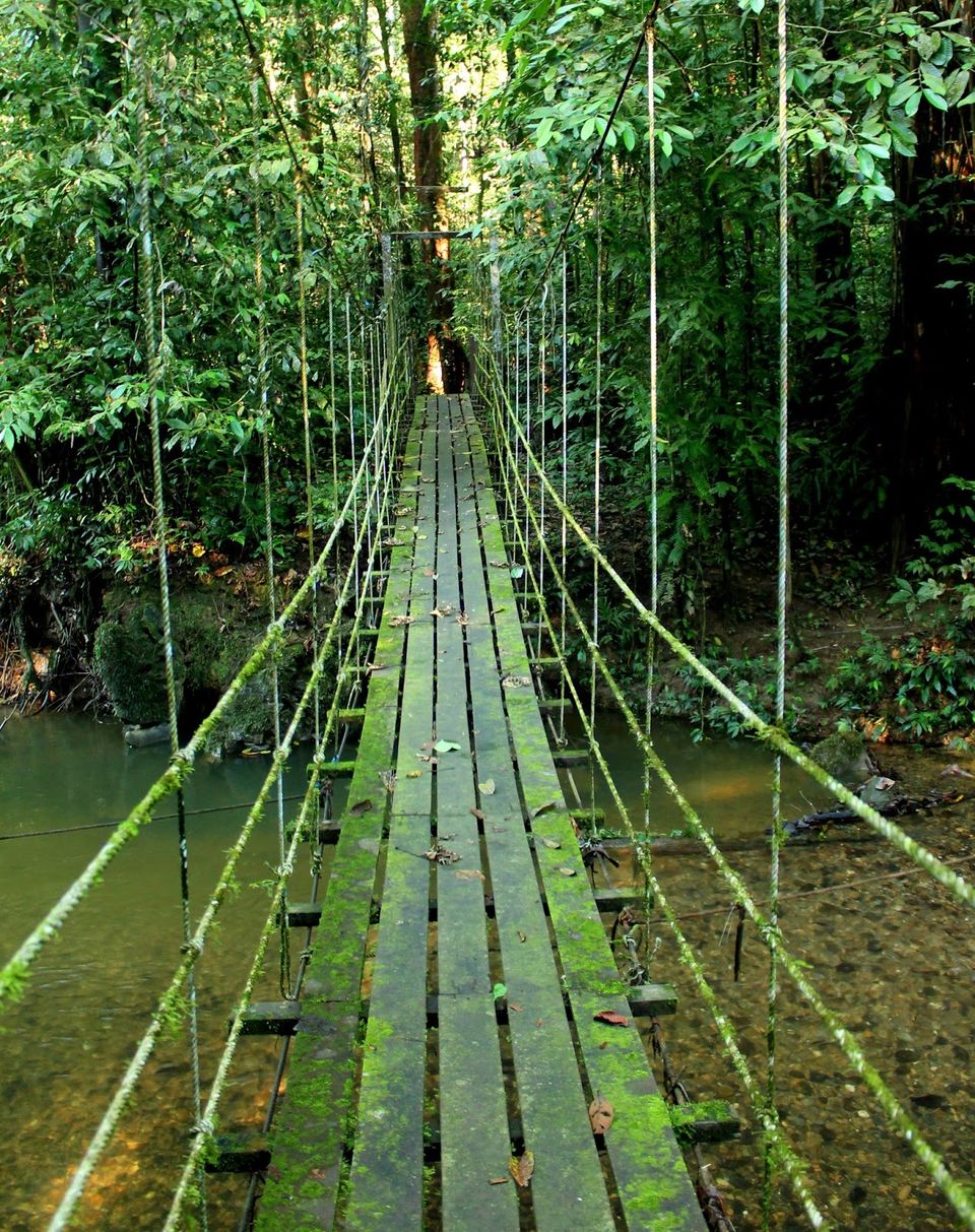 Photo of Gunung Mulu National Park 12/14 by mansioza