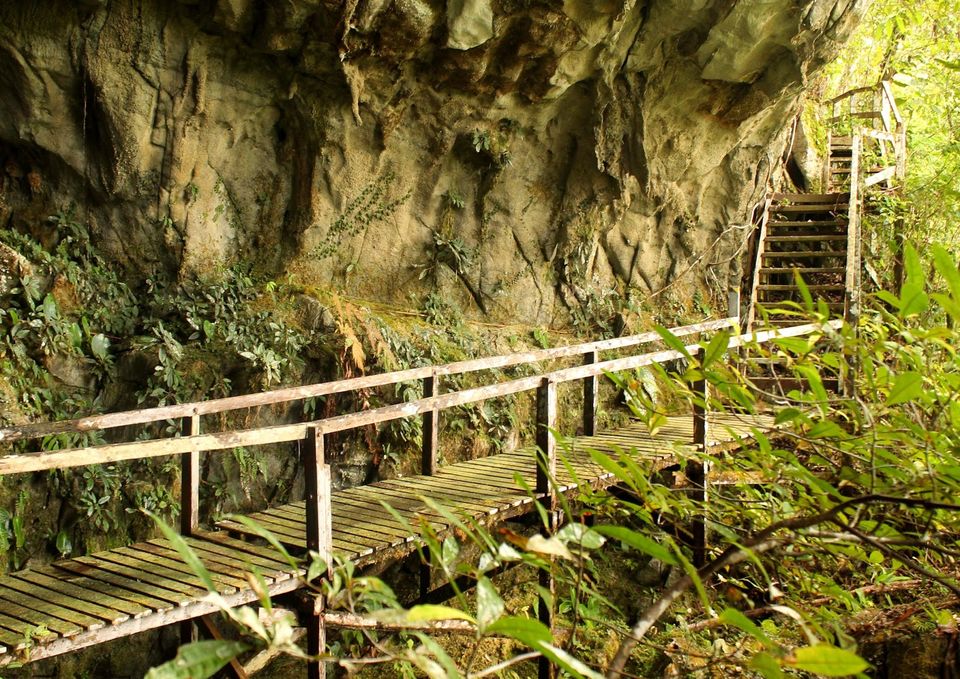 Photo of Gunung Mulu National Park 13/14 by mansioza